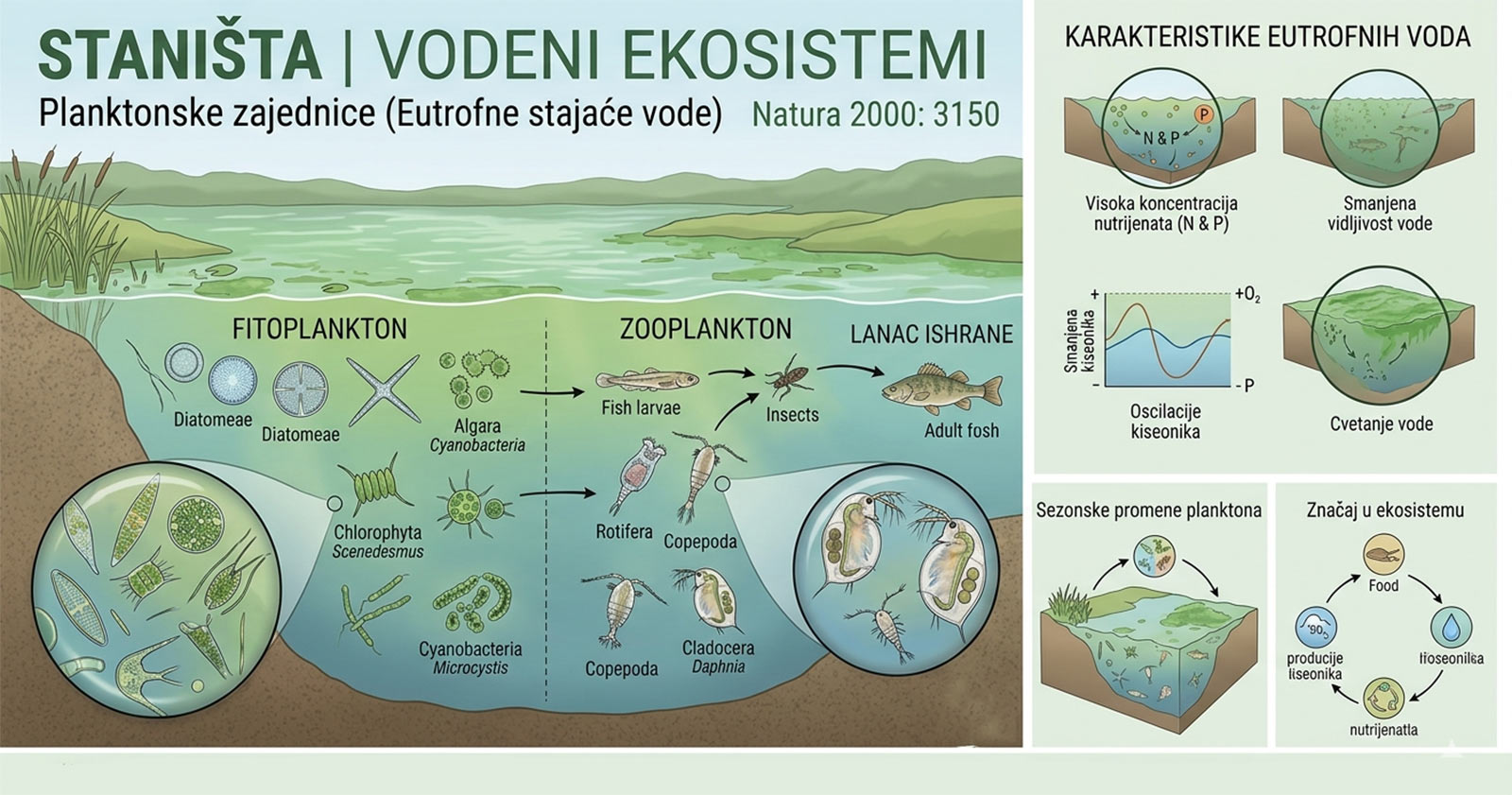 Planktonske zajednice