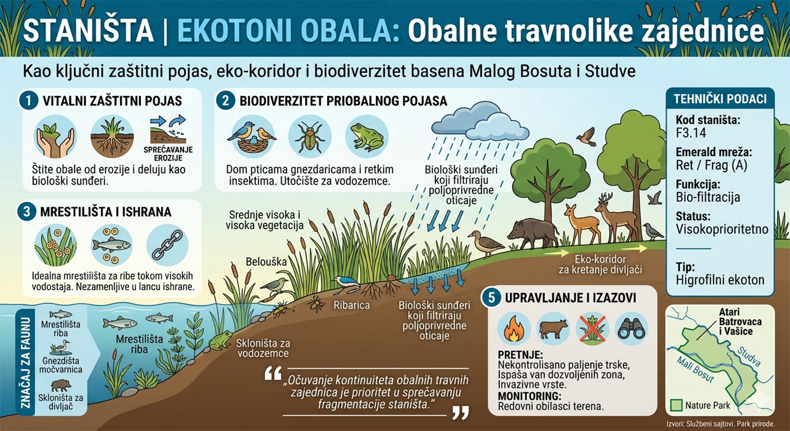 Obalne travnolike zajednice