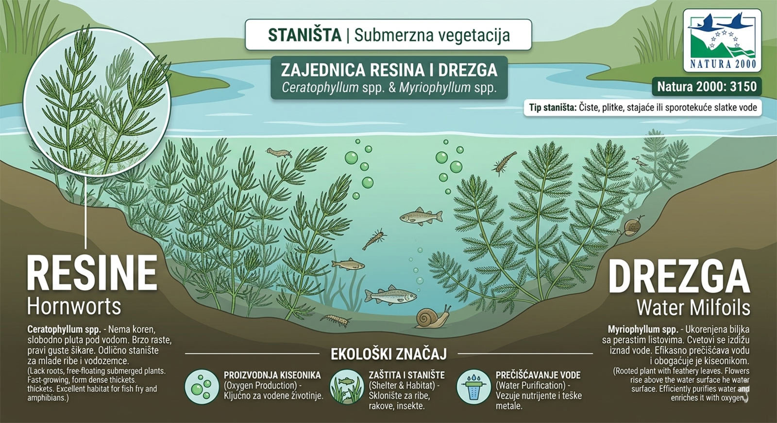 Zajednica resina i drezga