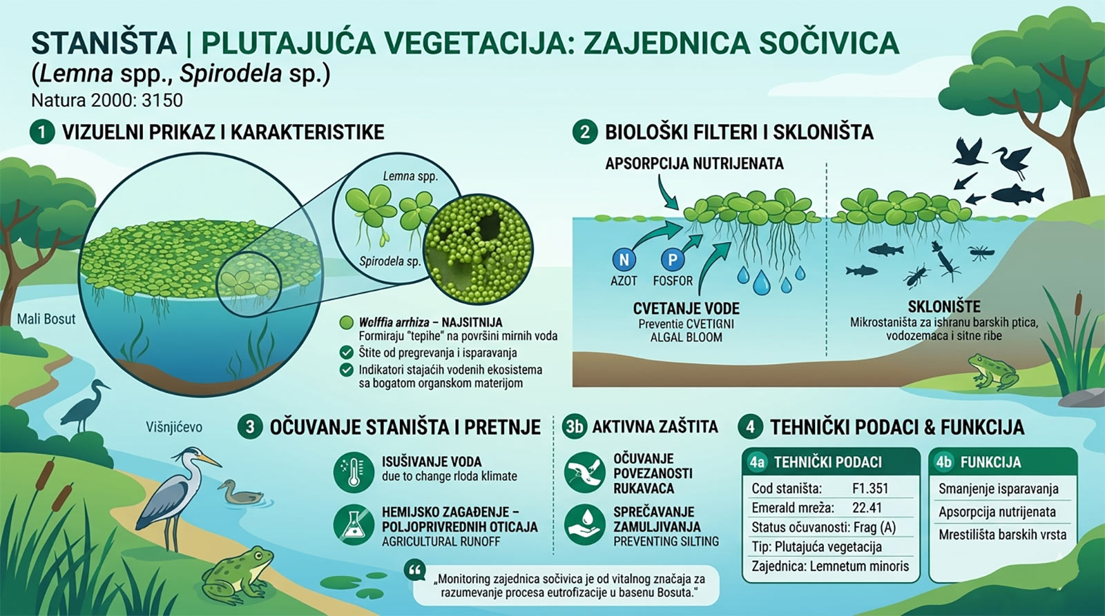 Zajednica sočivica