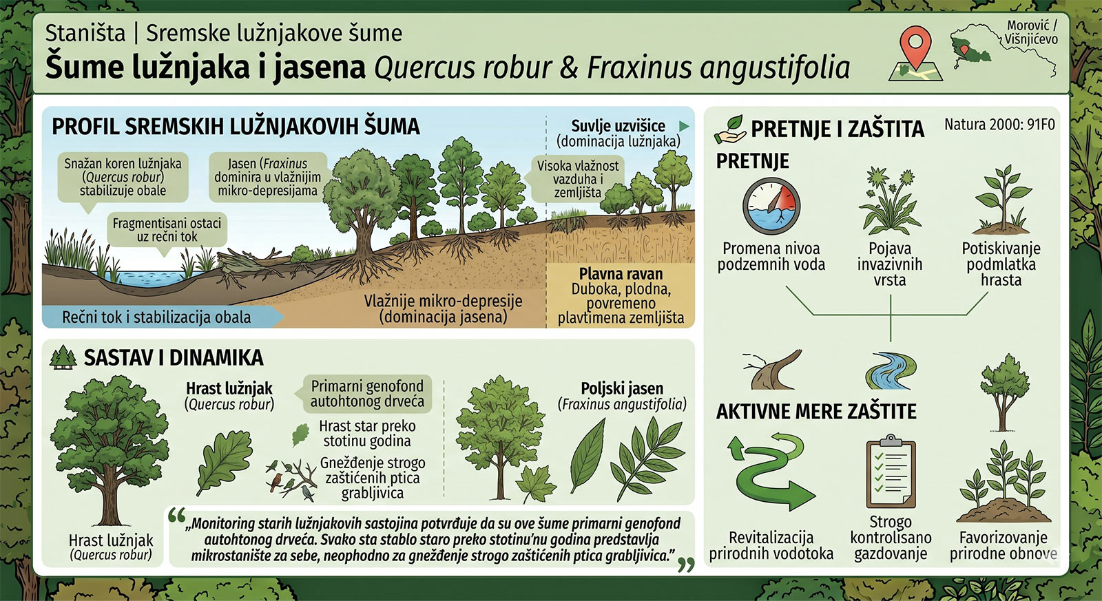 Šume lužnjaka i jasena