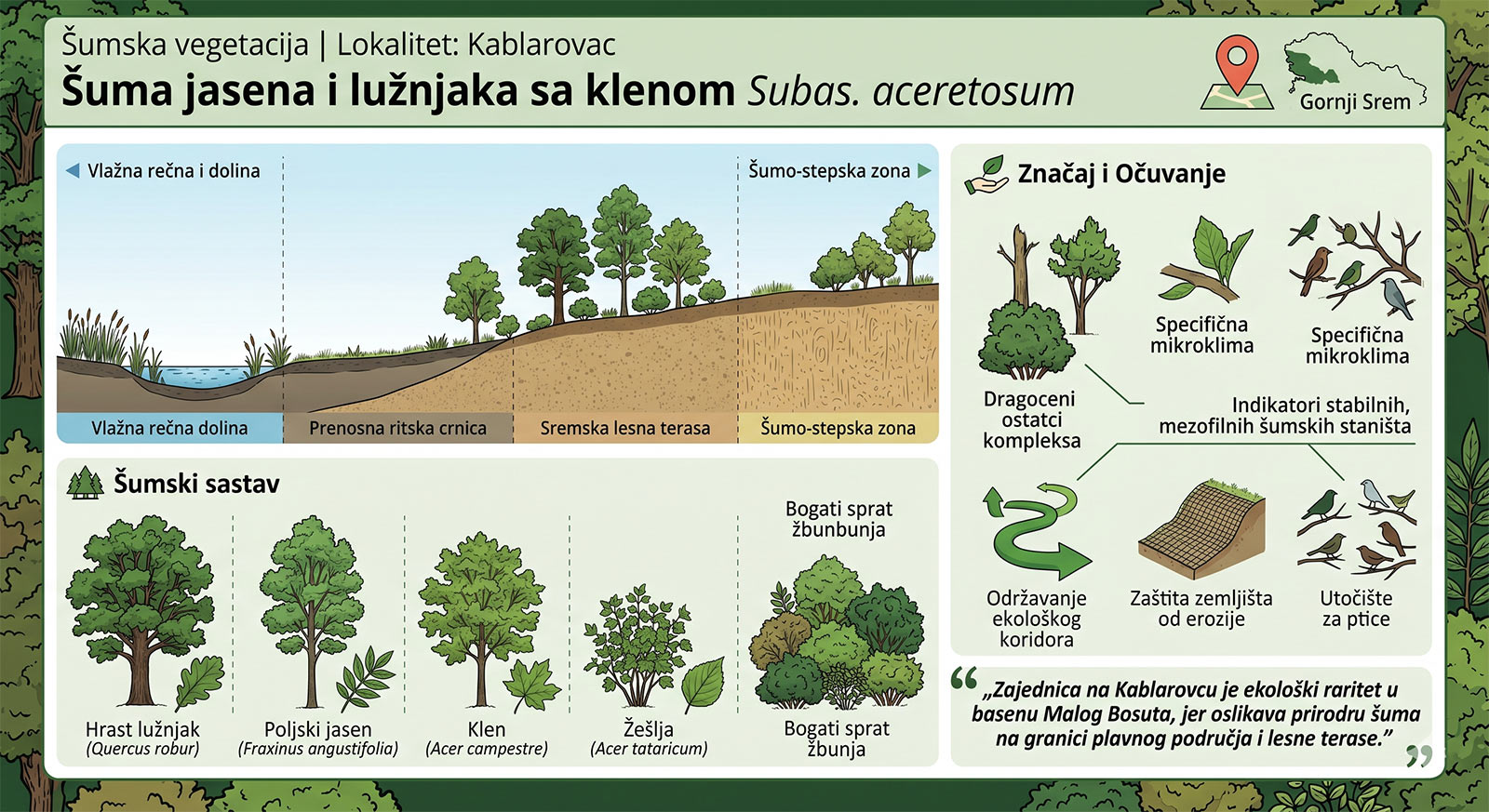 Šuma jasena i lužnjaka sa klenom