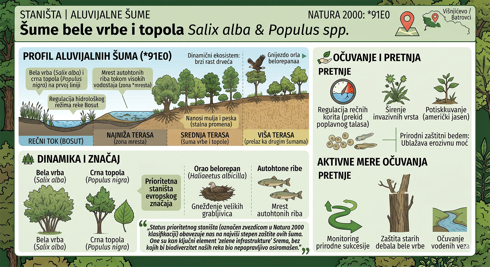 Šume bele vrbe i topola