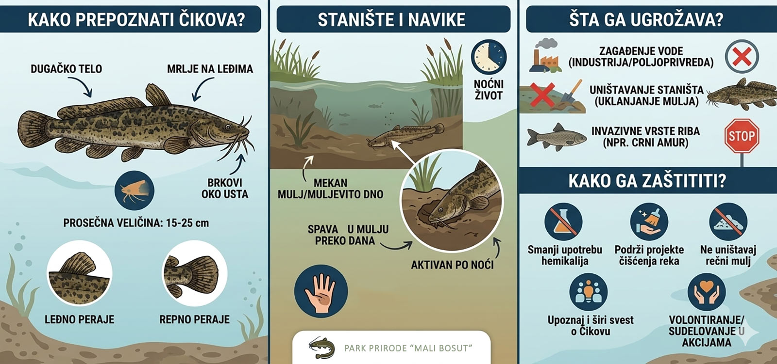 Čuvar mulja: Kako prepoznati i zaštititi čikova?